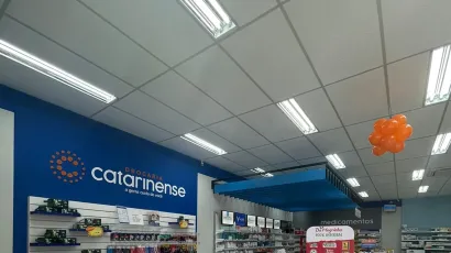 Forros de EPS em Blumenau e região: descubra por que esse sistema de construção a seco oferece leveza, isolamento térmico, rapidez e ótimo custo-benefício. Solução ideal para obras residenciais e comerciais.